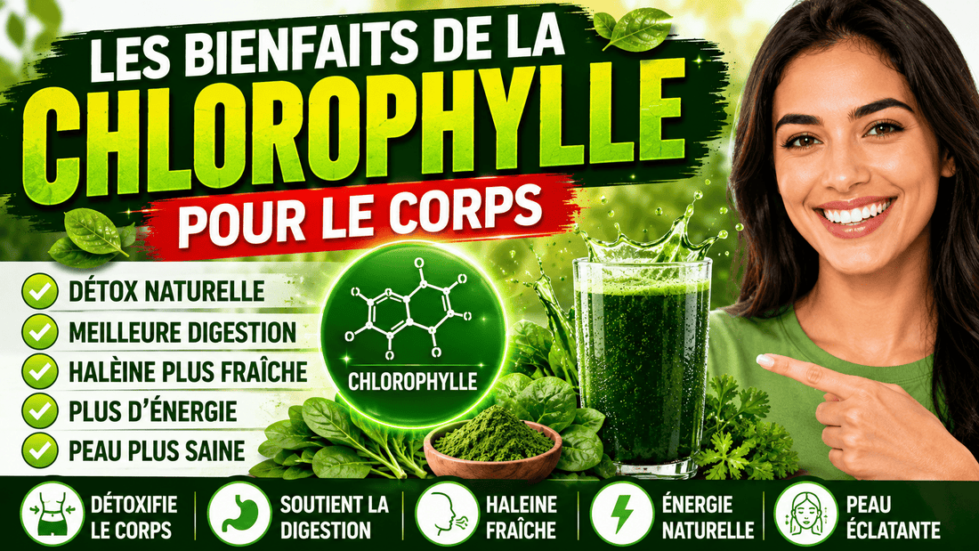 bienfaits chlorophylle 